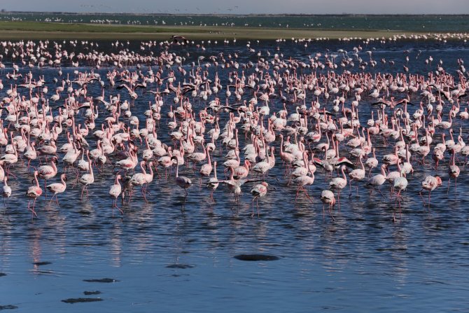 Walvis Bay: herrliche Lagune mit vielen Seevögeln und Flamingos